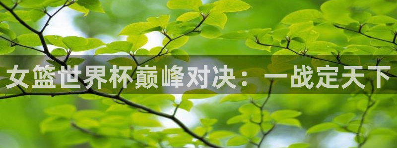 世界杯对阵表:女篮世界杯巅峰对决:一战定天下
