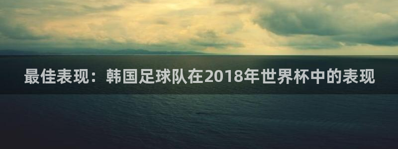 2006世界杯:最佳表现:韩国足球队在2018年世界杯中的表现