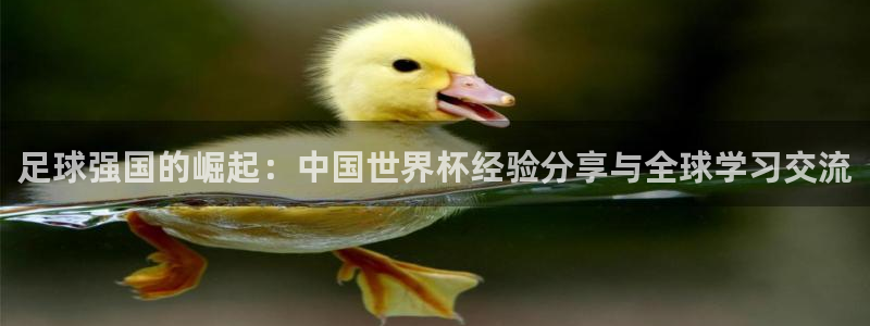 世界杯 直播:足球强国的崛起:中国世界杯经验分享与全球学习交流