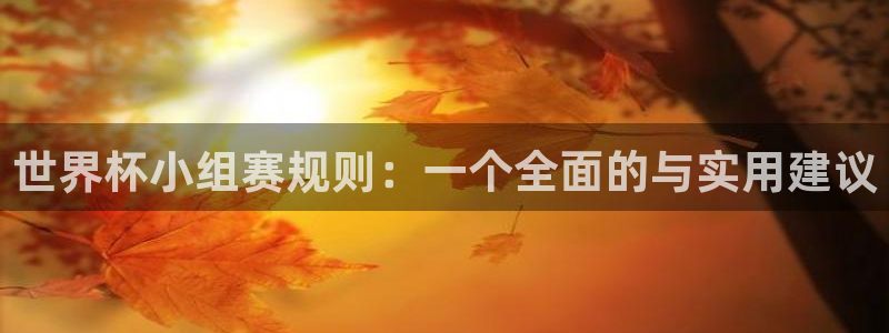 2026世界杯直播:世界杯小组赛规则:一个全面的与实用建议