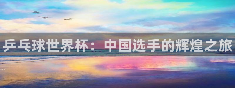 2026年男足世界杯:乒乓球世界杯:中国选手的辉煌之旅