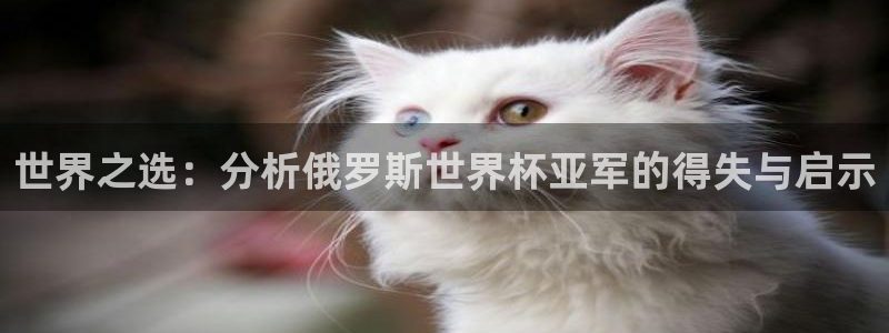 世界杯预选赛欧洲区赛程:世界之选:分析俄罗斯世界杯亚军的得失与启示